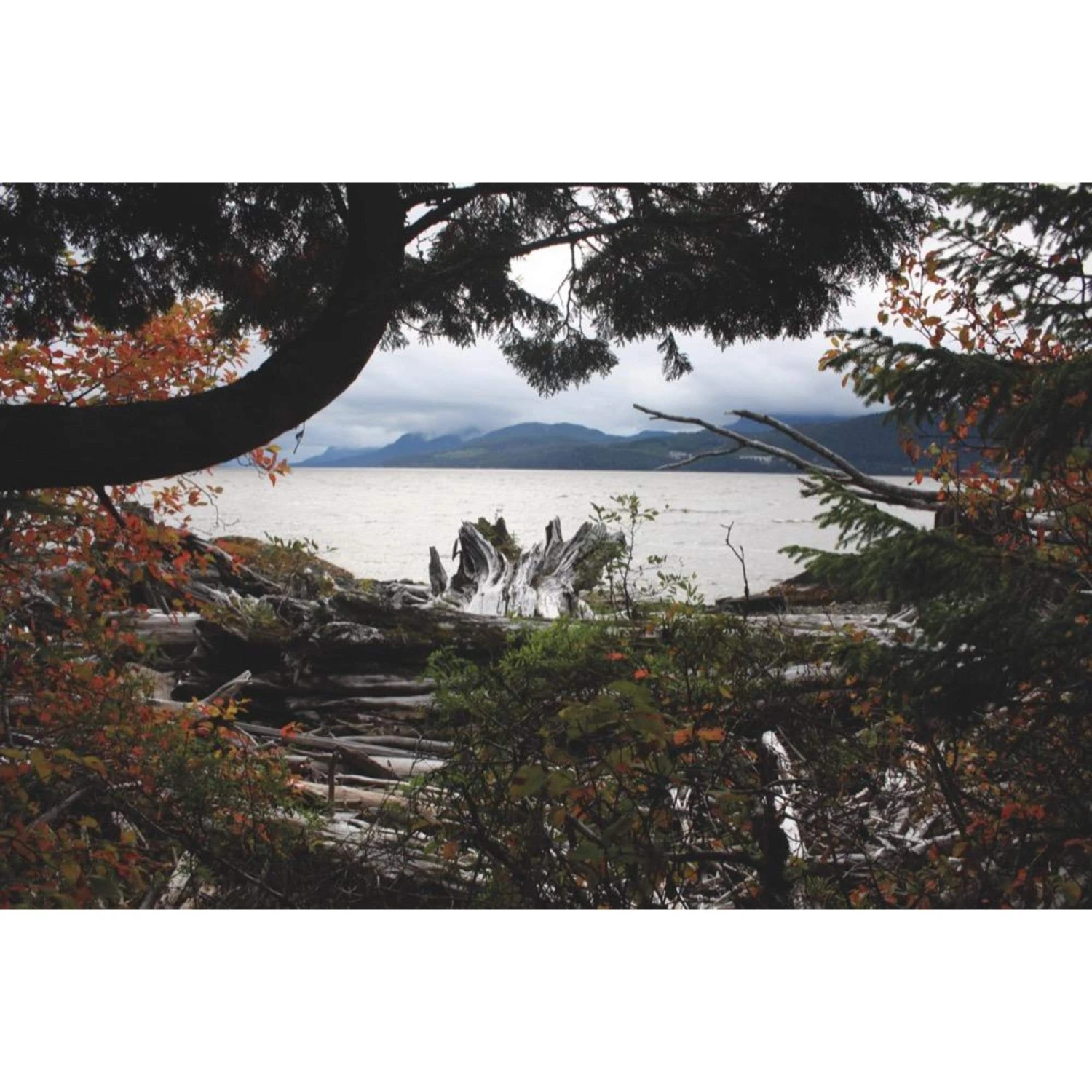 Die Hoffnung Und Der Wolf - Reisetagebuch - Image 2